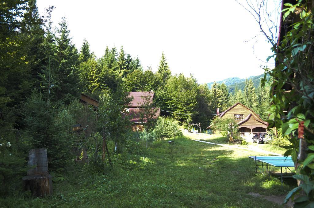Hotel Zarinok Pilipets Exteriér fotografie